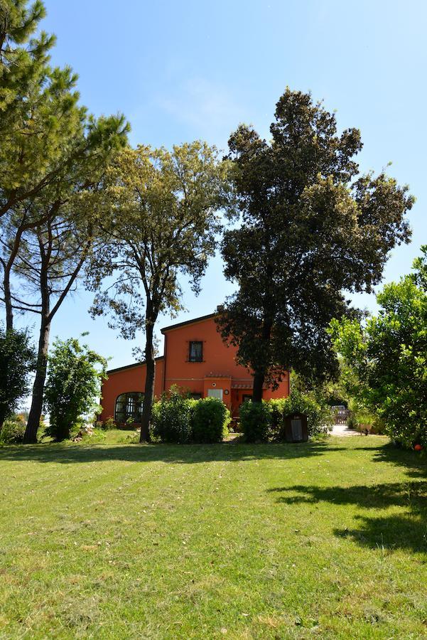 B&B Punto Magico Offagna Εξωτερικό φωτογραφία